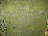 image of grave number 504754
